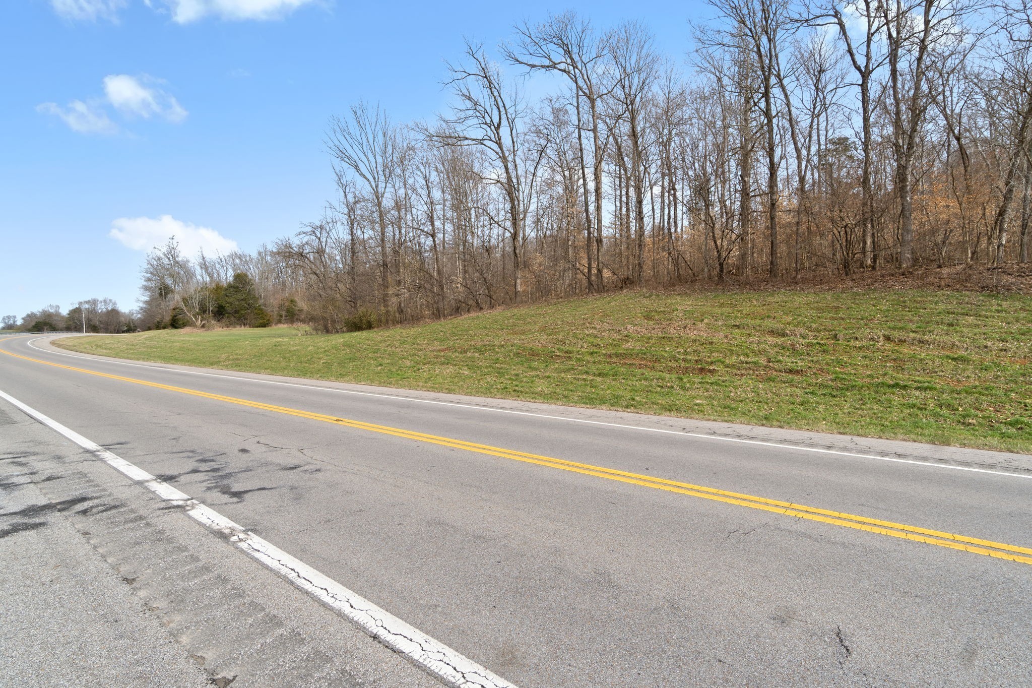 0 Highway 149 Erin, TN 37061 - Photo 2 of 9 a view of a yard with a large tree