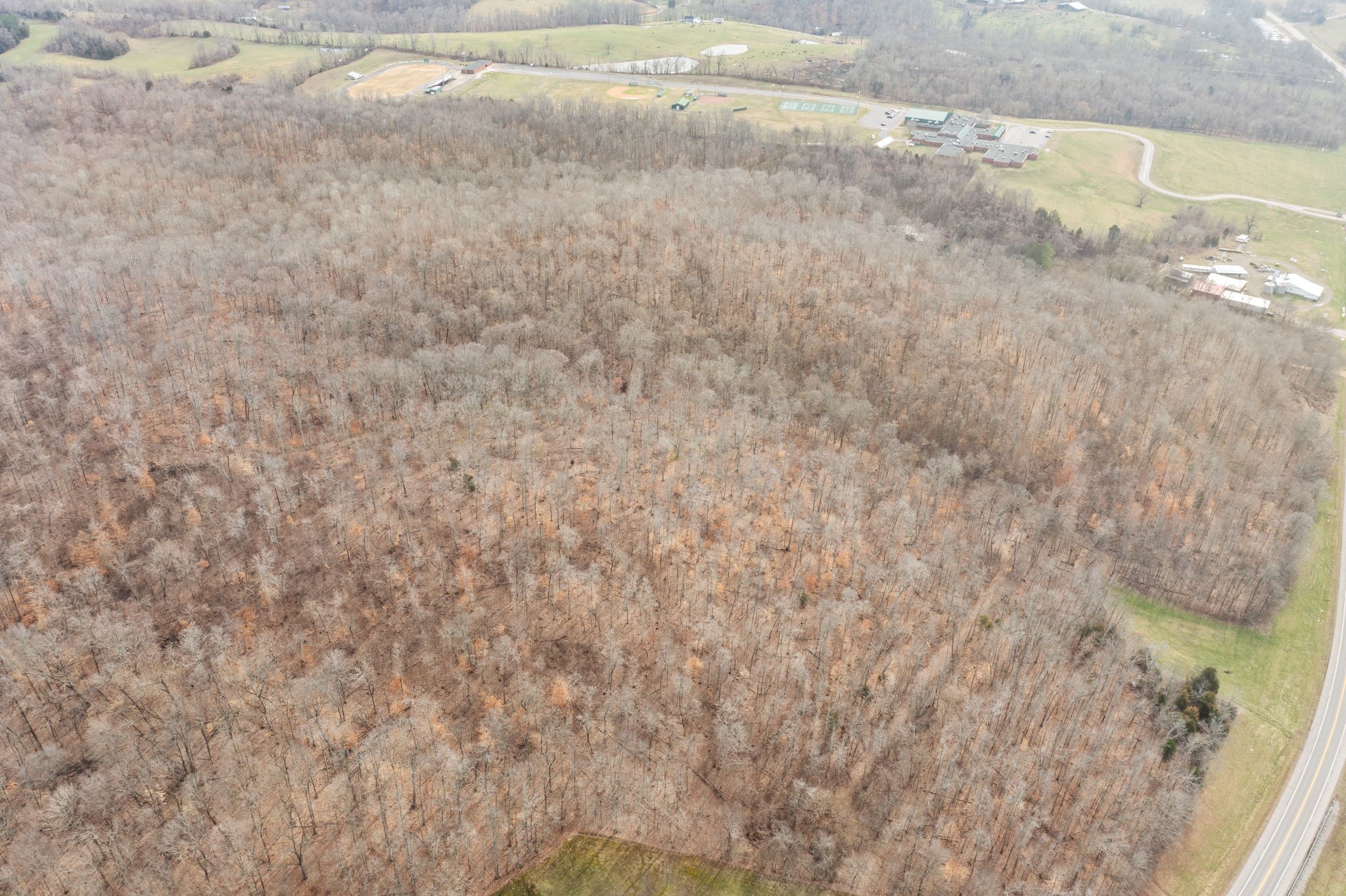 0 Highway 149 Erin, TN 37061 - Photo 3 of 9 a close up of a white marble wall