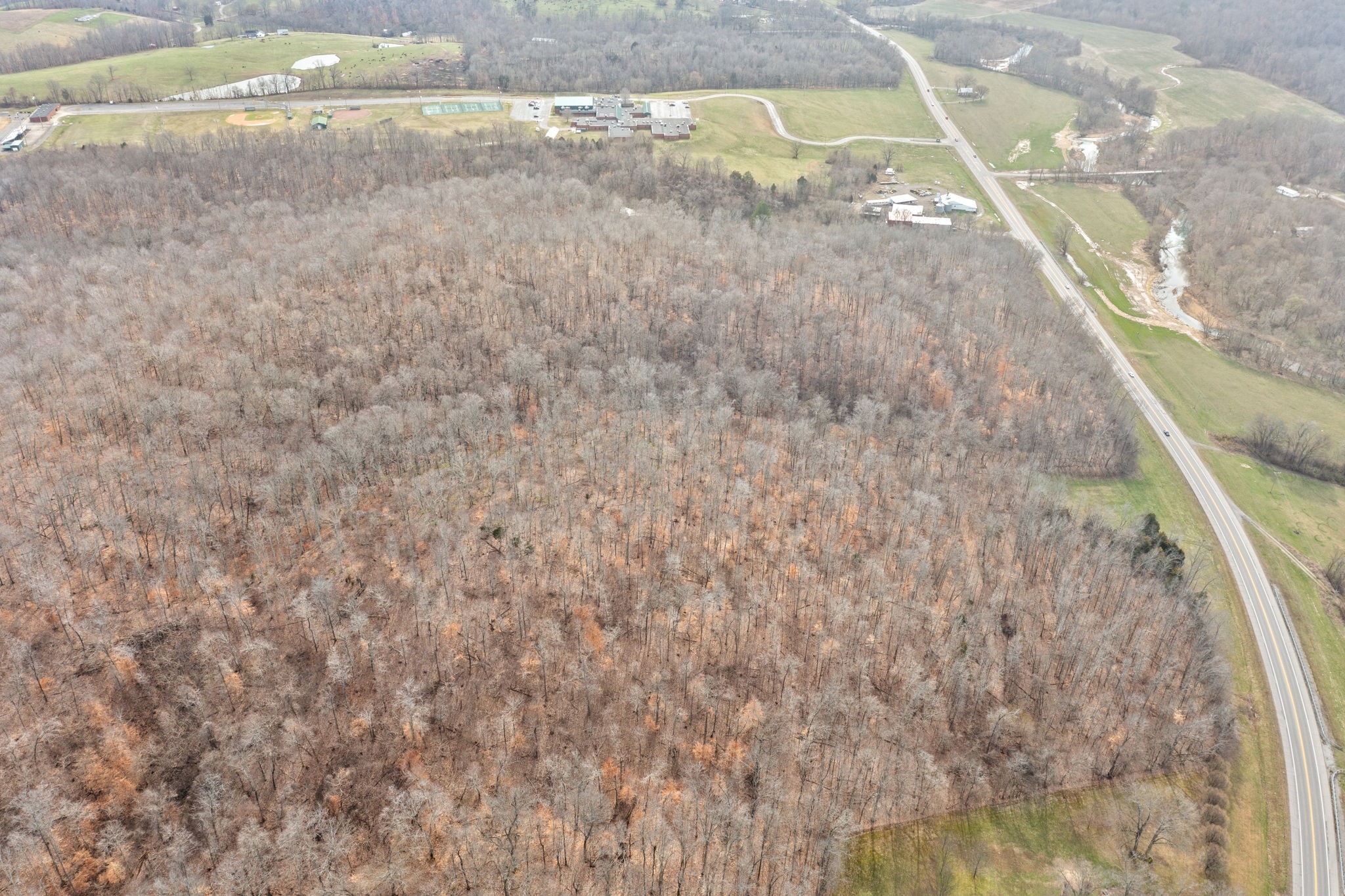 0 Highway 149 Erin, TN 37061 - Photo 4 of 9 a view of a yard