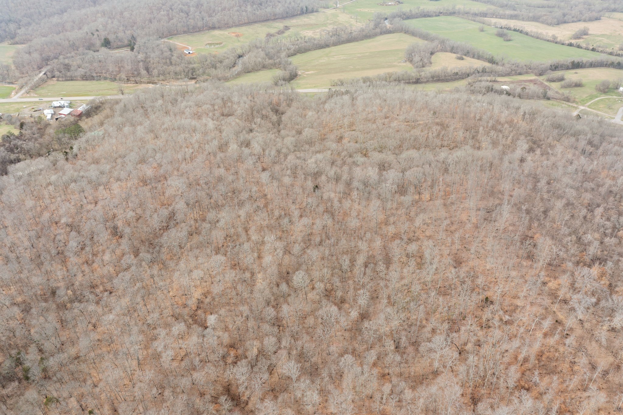 0 Highway 149 Erin, TN 37061 - Photo 5 of 9 a close up of a white marble top