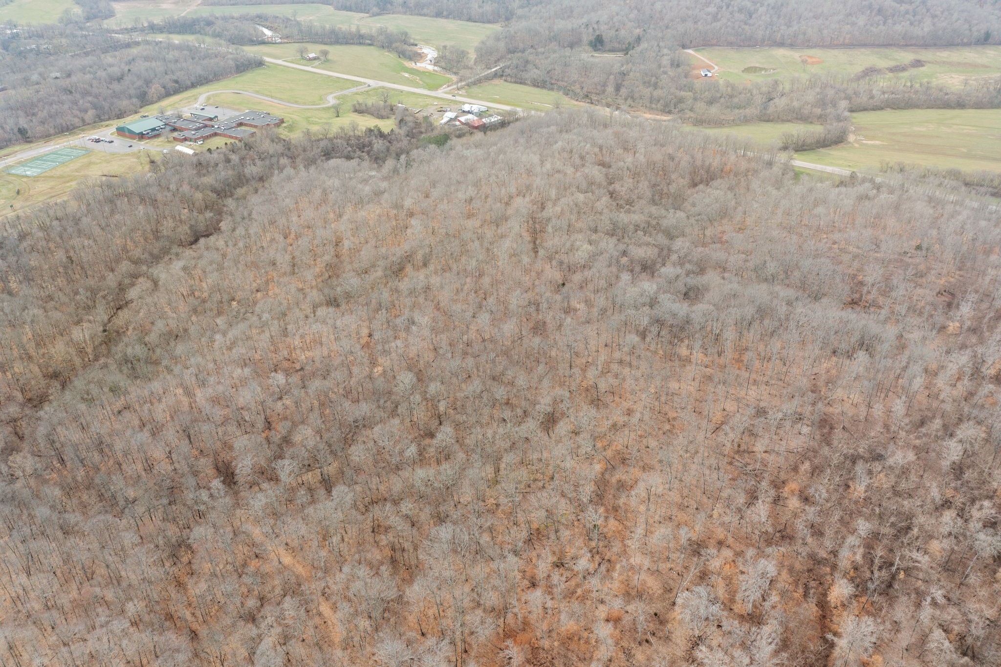 0 Highway 149 Erin, TN 37061 - Photo 6 of 9 a view of a yard with an trees