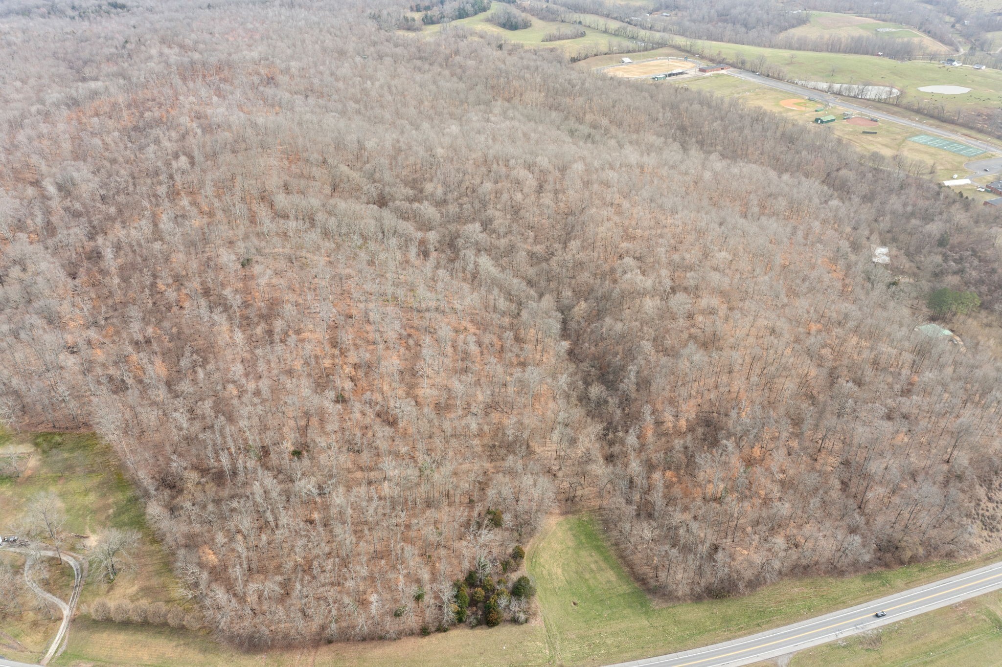 0 Highway 149 Erin, TN 37061 - Photo 8 of 9 a view of a dry yard