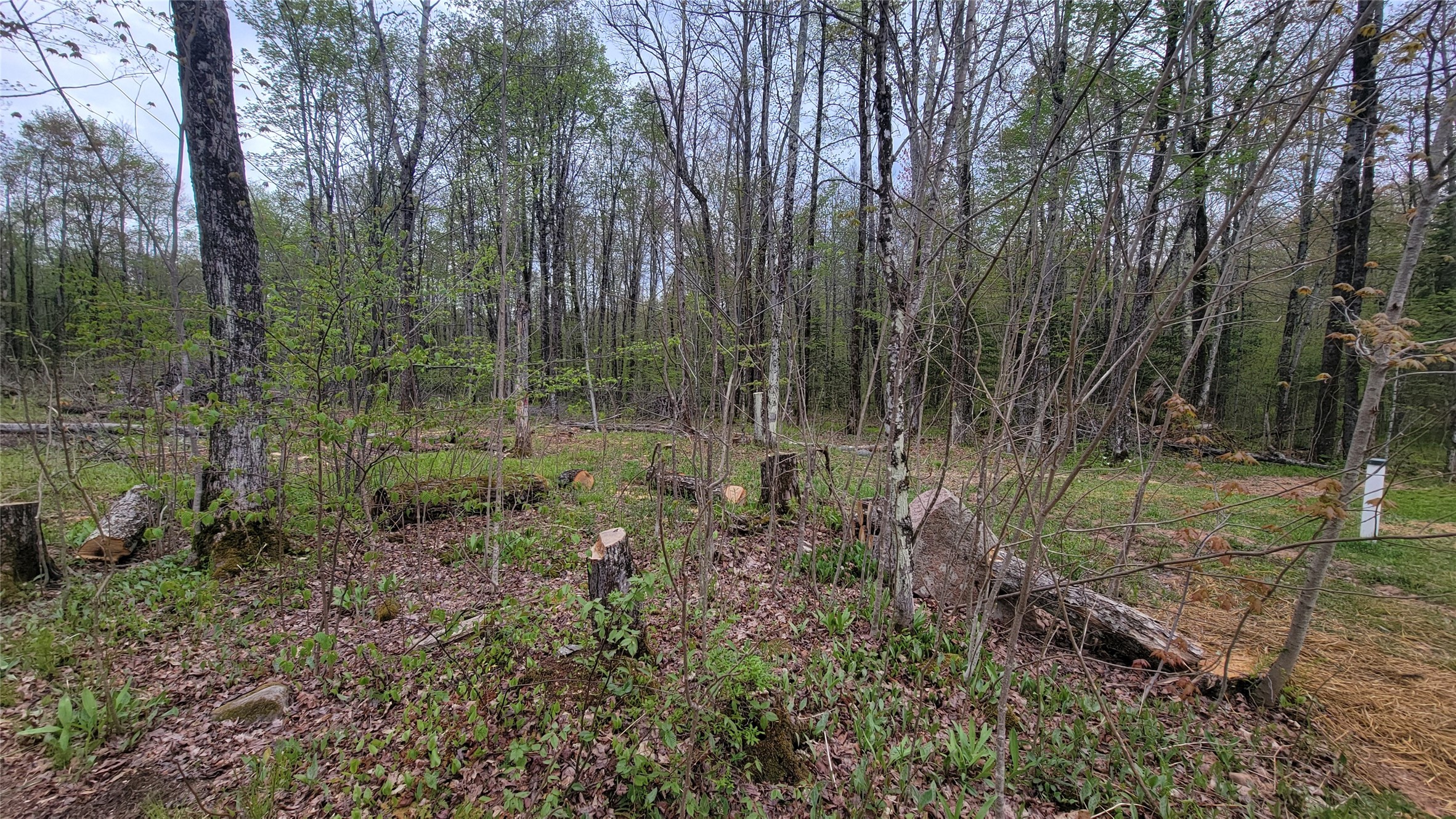 W10389 Fleming Road Park Falls, WI 54552 - Photo 16 of 29