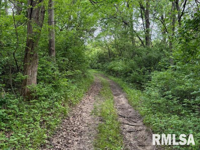 4231 Stone Road Springfield, IL 62707 - Photo 79 of 85