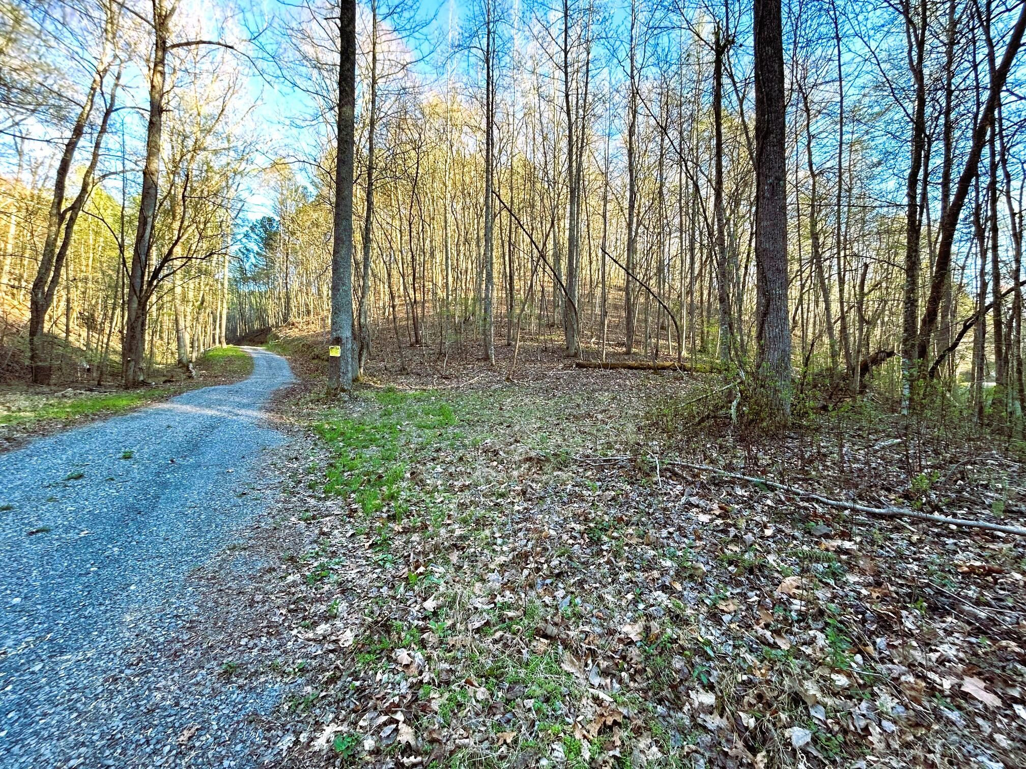 3 Southwest Owl Hollow Road McDonald, TN 37353 - Photo 6 of 9