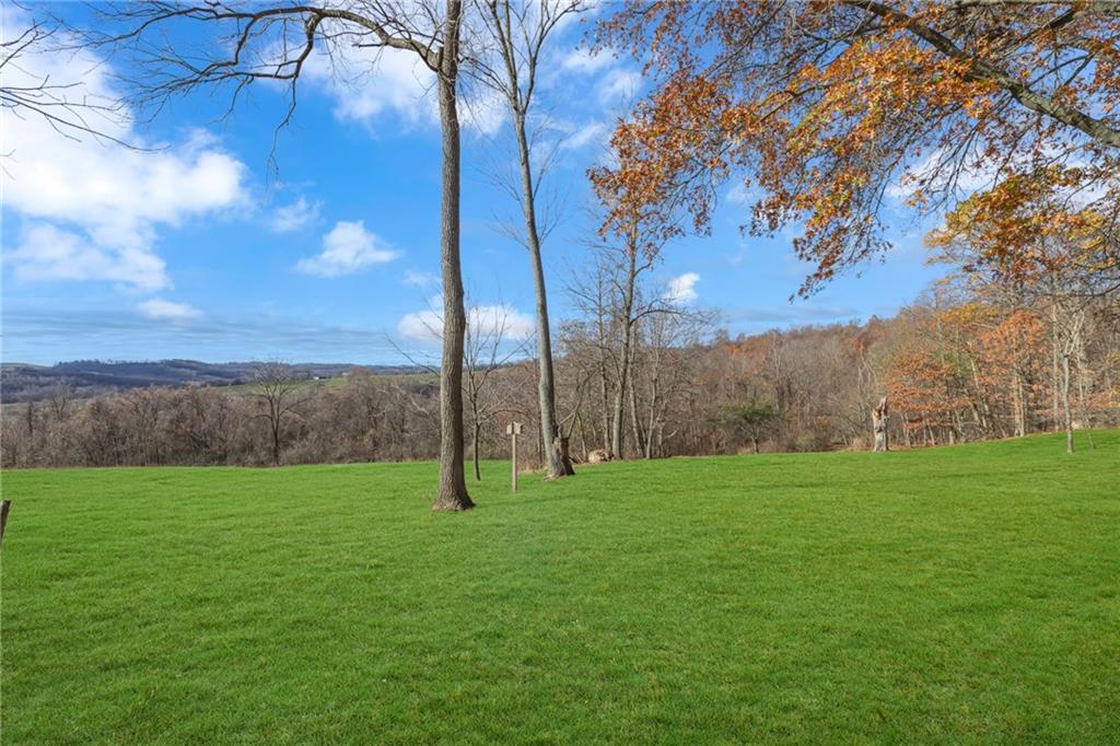 685 Old Ridge Road Avella, PA 15312 - Photo 44 of 50 a view of a field with a tree in the background