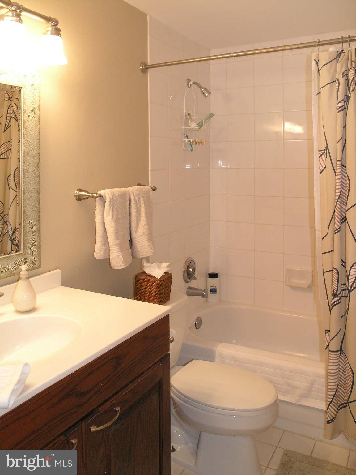 1265 Wedgewood Manor Way Reston, VA 20194 - Photo 22 of 30 Bath Lower