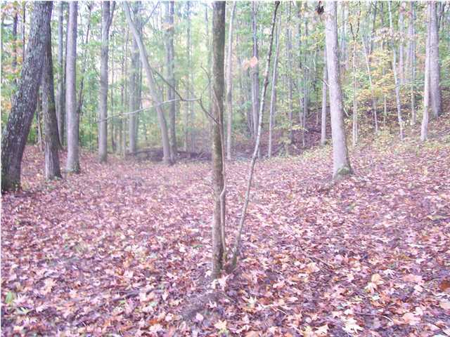 2 Mullins Cove Road, Unit 2 Whitwell, TN 37397 - Photo 4 of 6 Additional Photo