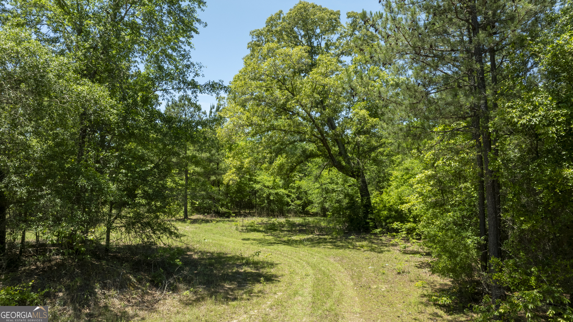 0 Old Griswoldville Road Macon, GA 31217 - Photo 3 of 62