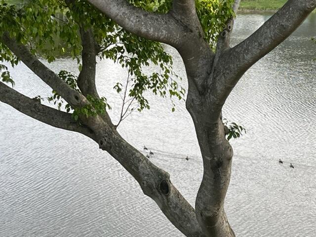 4044 Cambridge C Deerfield Beach, FL 33442 - Photo 18 of 20 IMG_6506