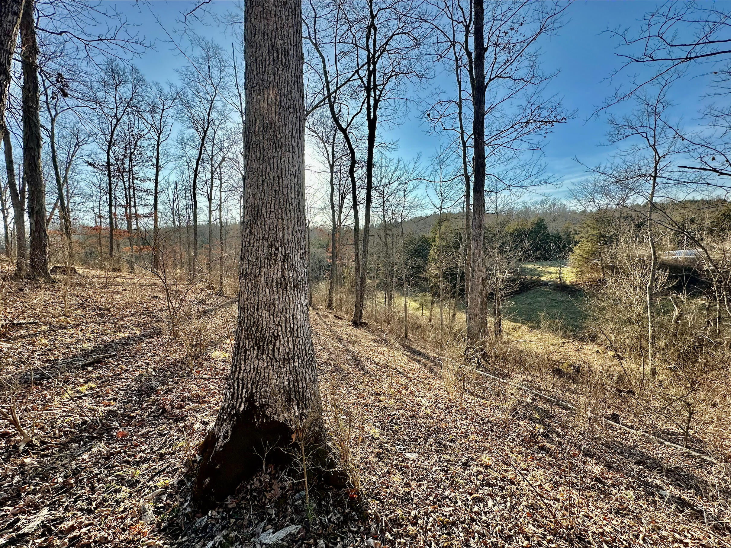 13489 Peach Grove Road California, KY 41007 - Photo 22 of 50 Gallery Image 22