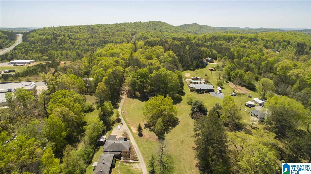 6659 Old Springville Road Pinson, AL 35126 - Photo 29 of 32