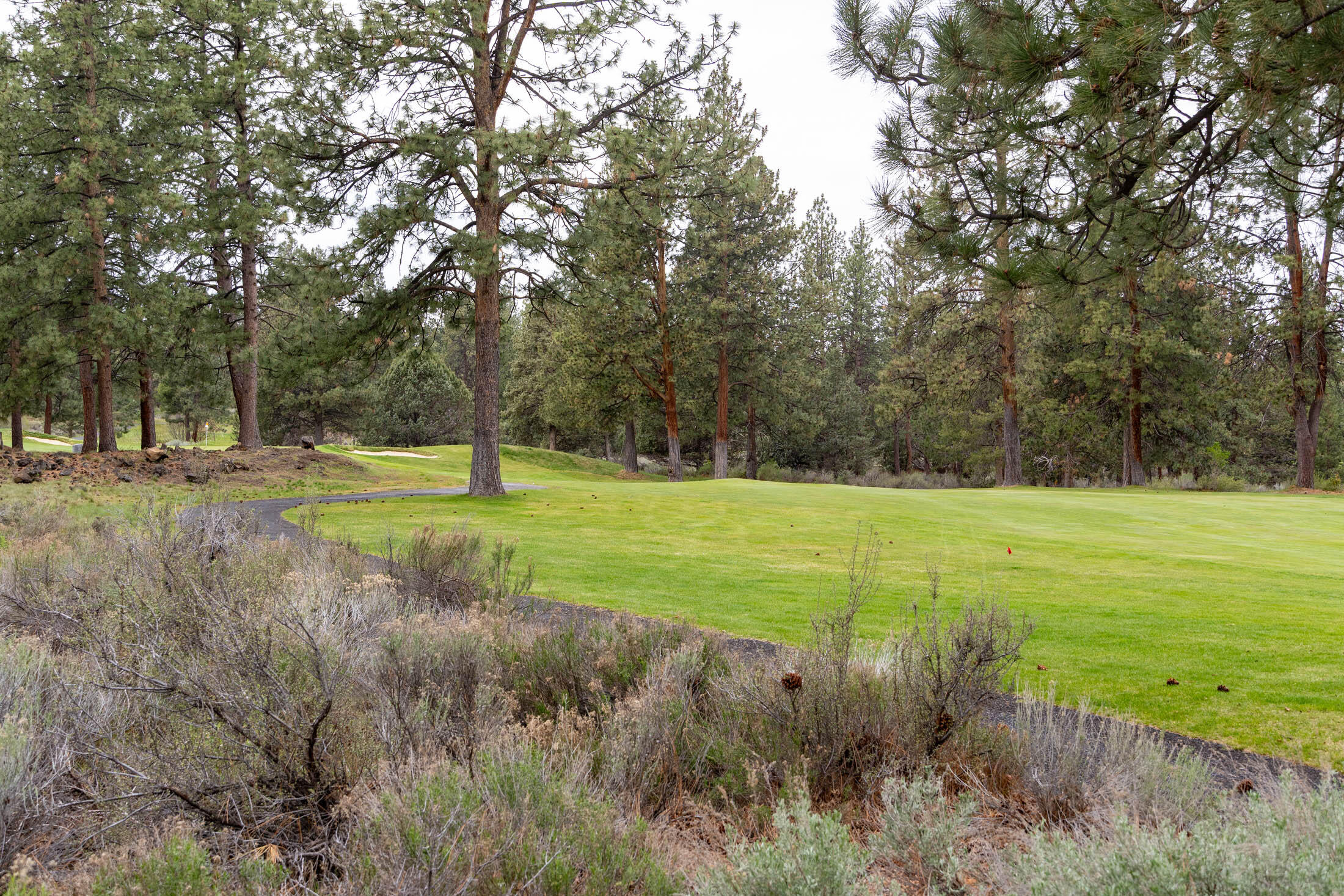 20316 Donkey Sled Road Bend, OR 97702 - Photo 33 of 50 a view of a park with large trees