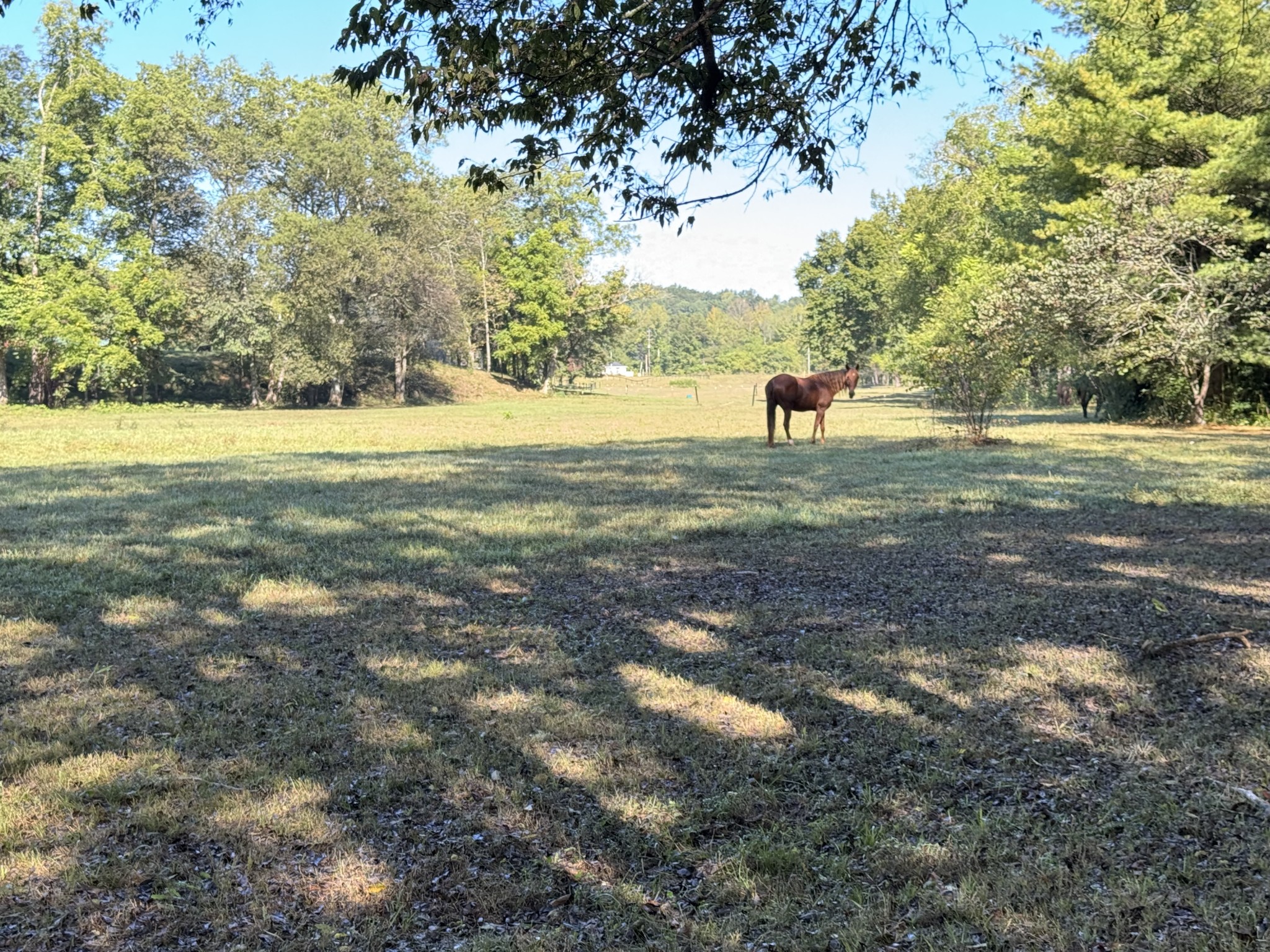 4035 Fortyeight Creek Road Waynesboro, TN 38485 - Photo 12 of 36