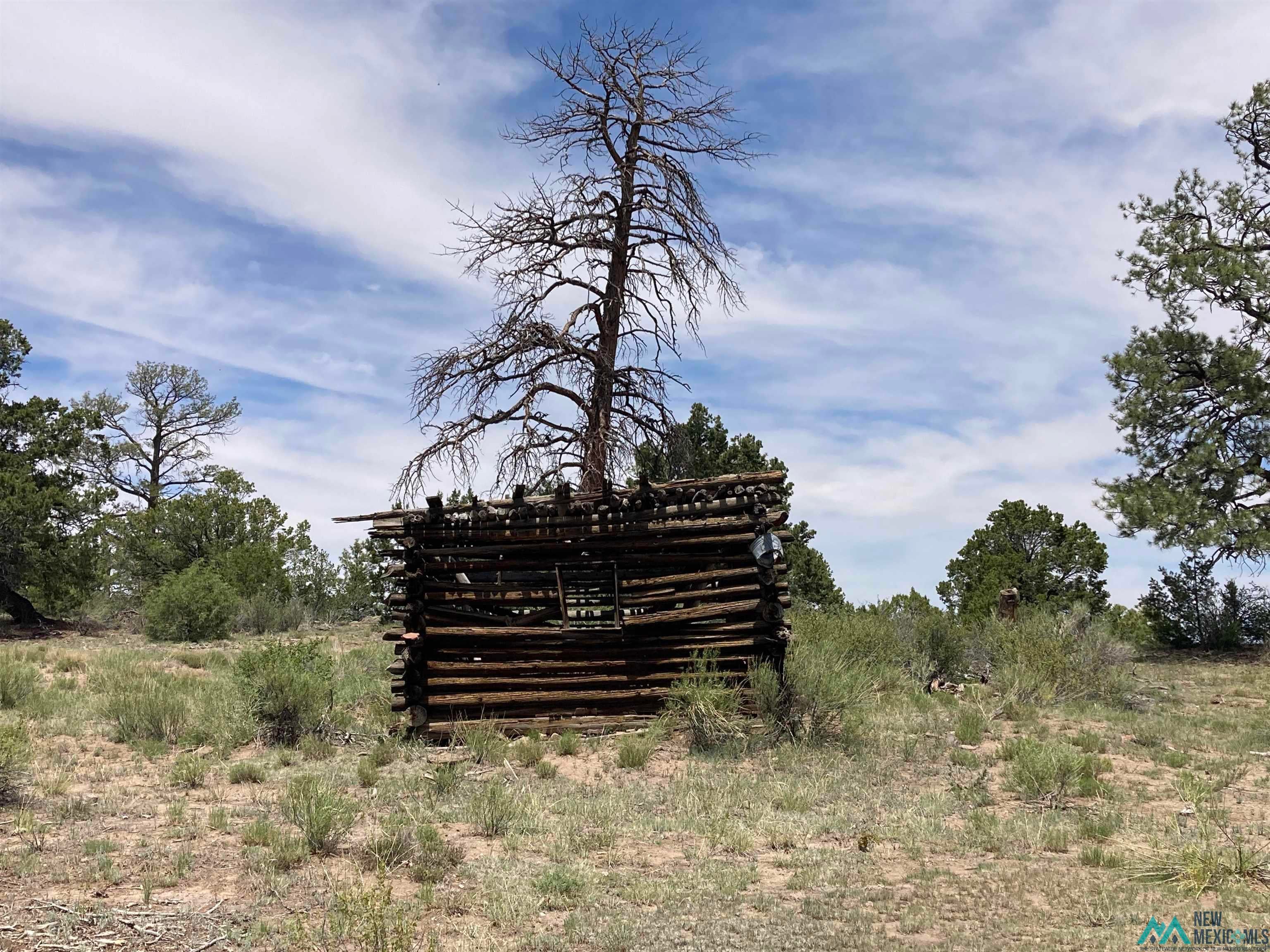 1 Forest Rd100 Road Canones, NM 87516 - Photo 30 of 39 Gallery Image 30