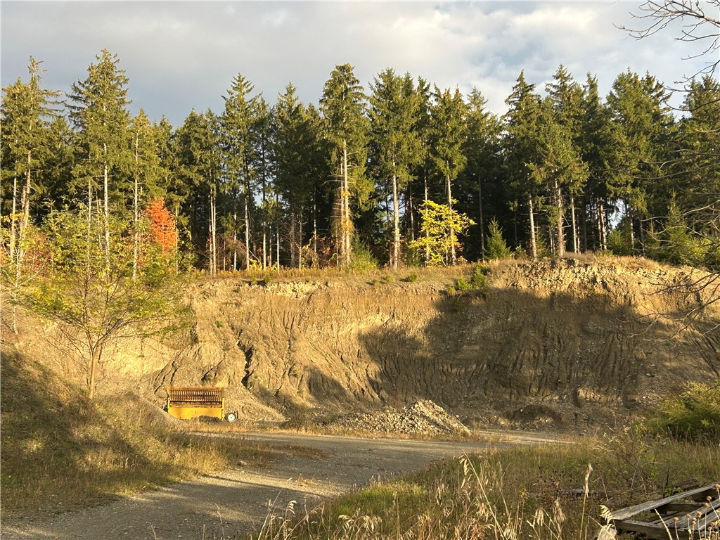 Mills Road Road Montour Falls, NY 14865 - Photo 3 of 10