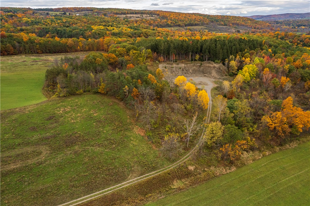 Mills Road Road Montour Falls, NY 14865 - Photo 4 of 10