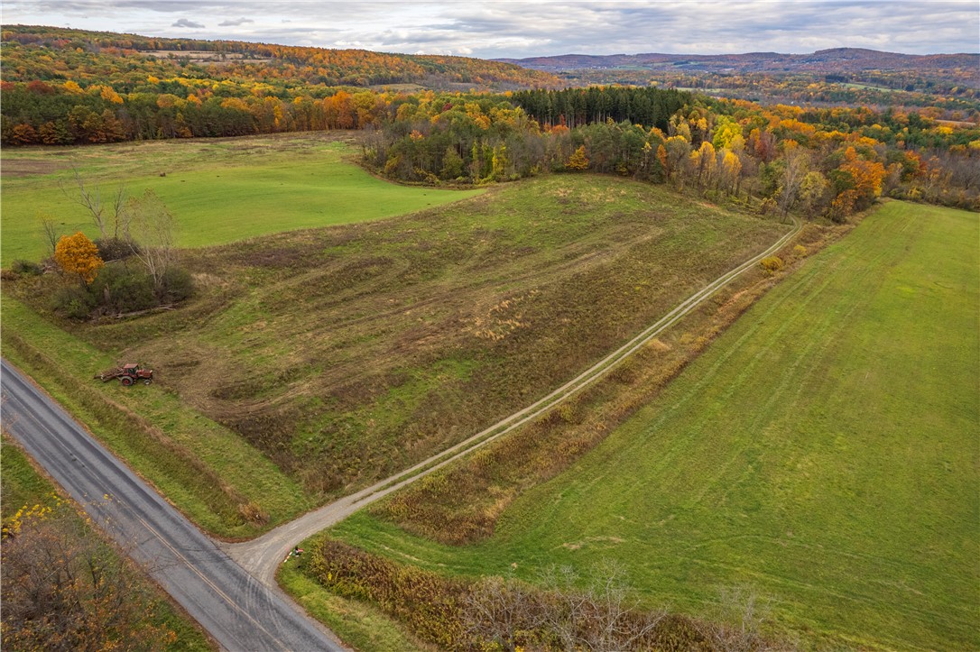Mills Road Road Montour Falls, NY 14865 - Photo 5 of 10 ROW from Mills Rd into the property