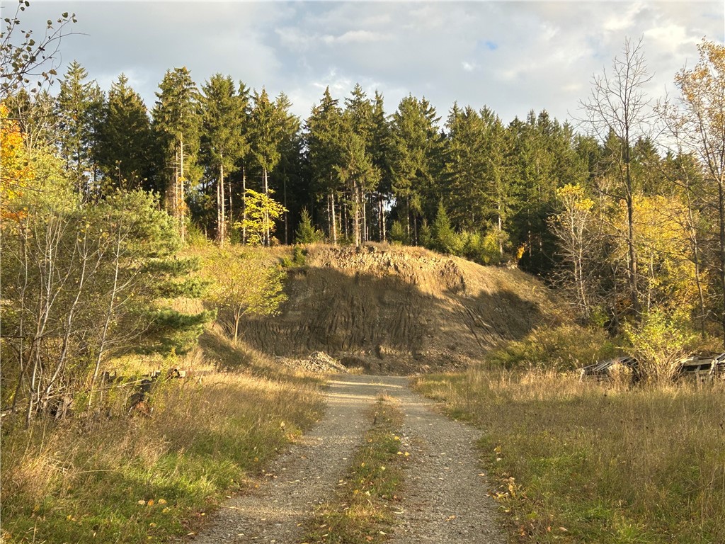 Mills Road Road Montour Falls, NY 14865 - Photo 8 of 10