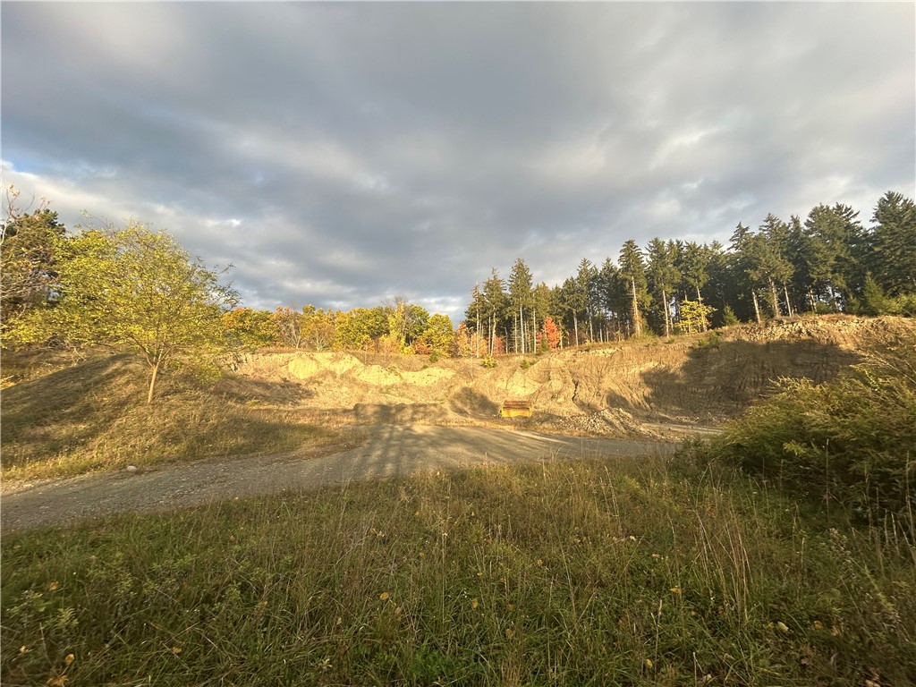 Mills Road Road Montour Falls, NY 14865 - Photo 9 of 10