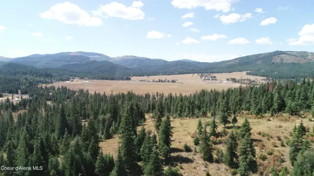 $300,000 | Nna Carpenter Creek Road, Fernwood, ID 83830