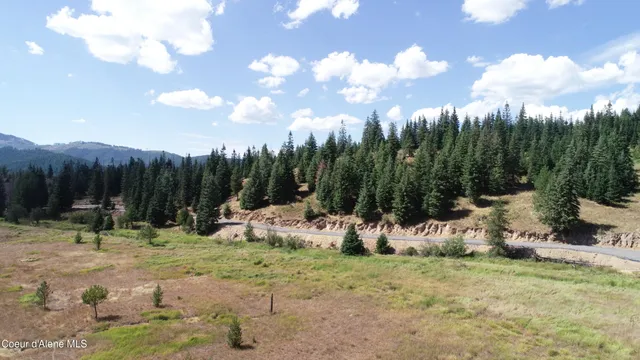 $300,000 | Nna Carpenter Creek Road, Fernwood, ID 83830
