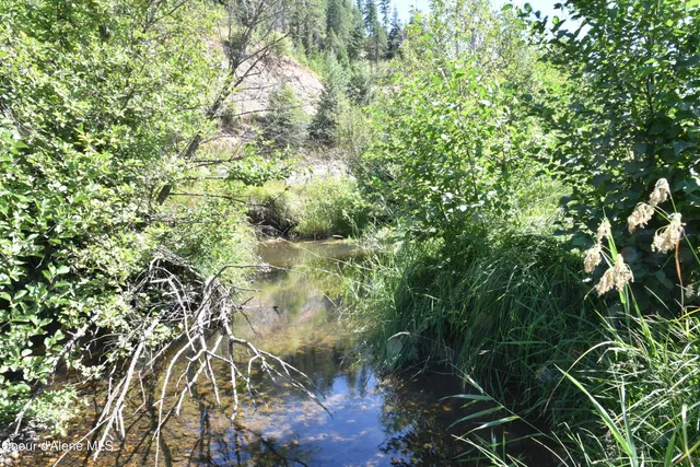 $300,000 | Nna Carpenter Creek Road, Fernwood, ID 83830