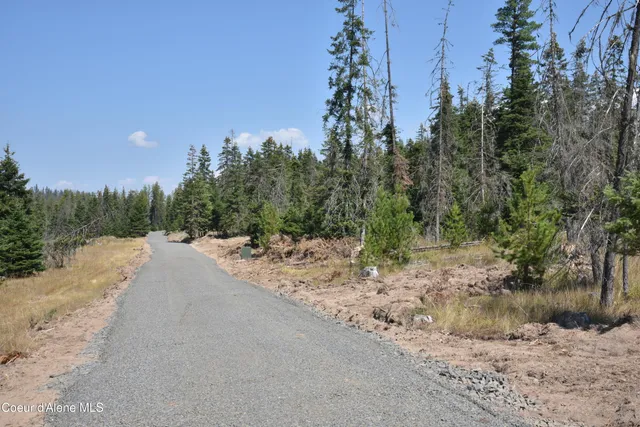 $300,000 | Nna Carpenter Creek Road, Fernwood, ID 83830