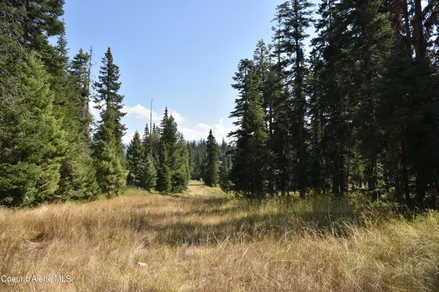 $300,000 | Nna Carpenter Creek Road, Fernwood, ID 83830