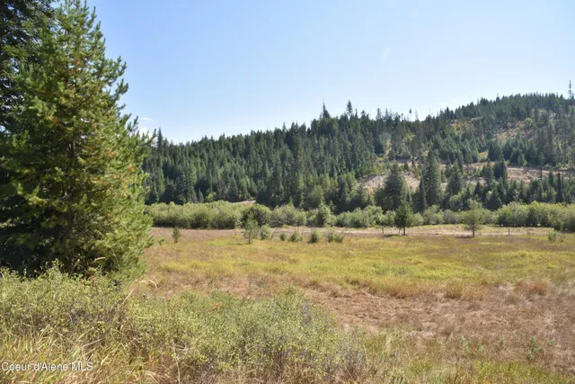 $300,000 | Nna Carpenter Creek Road, Fernwood, ID 83830
