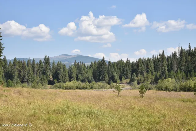 $300,000 | Nna Carpenter Creek Road, Fernwood, ID 83830