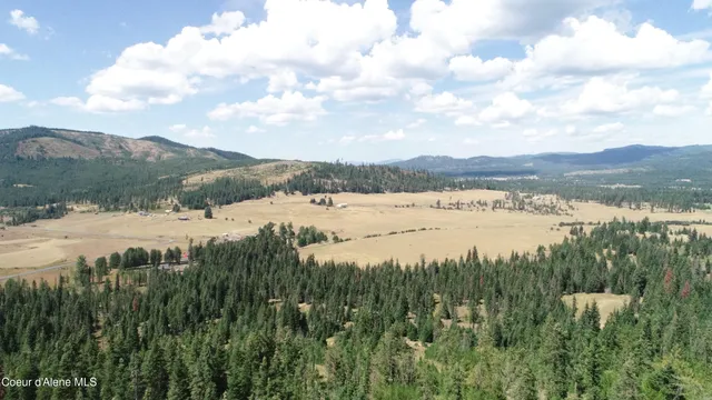 $300,000 | Nna Carpenter Creek Road, Fernwood, ID 83830