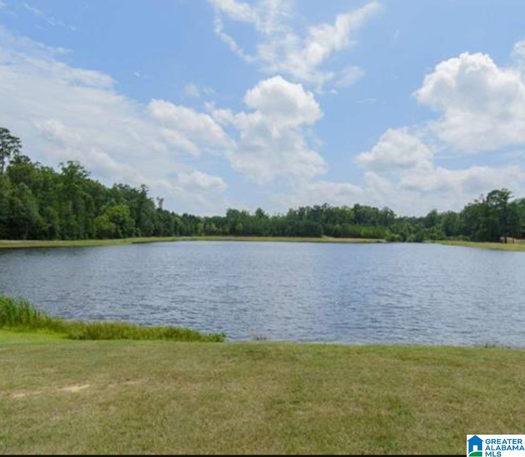 4060 Forest Lakes Road Sterrett, AL 35147 - Photo 9 of 9