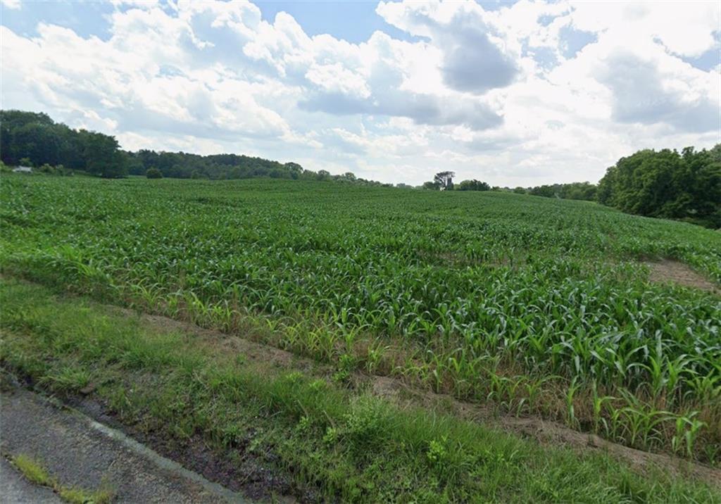 0 Old Pittsburgh Road New Castle, PA 16101 - Photo 2 of 3 a view of a big yard with plants and a large tree