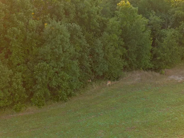 $292,500 | South Outer Belt Road, Lone Jack, MO 64070