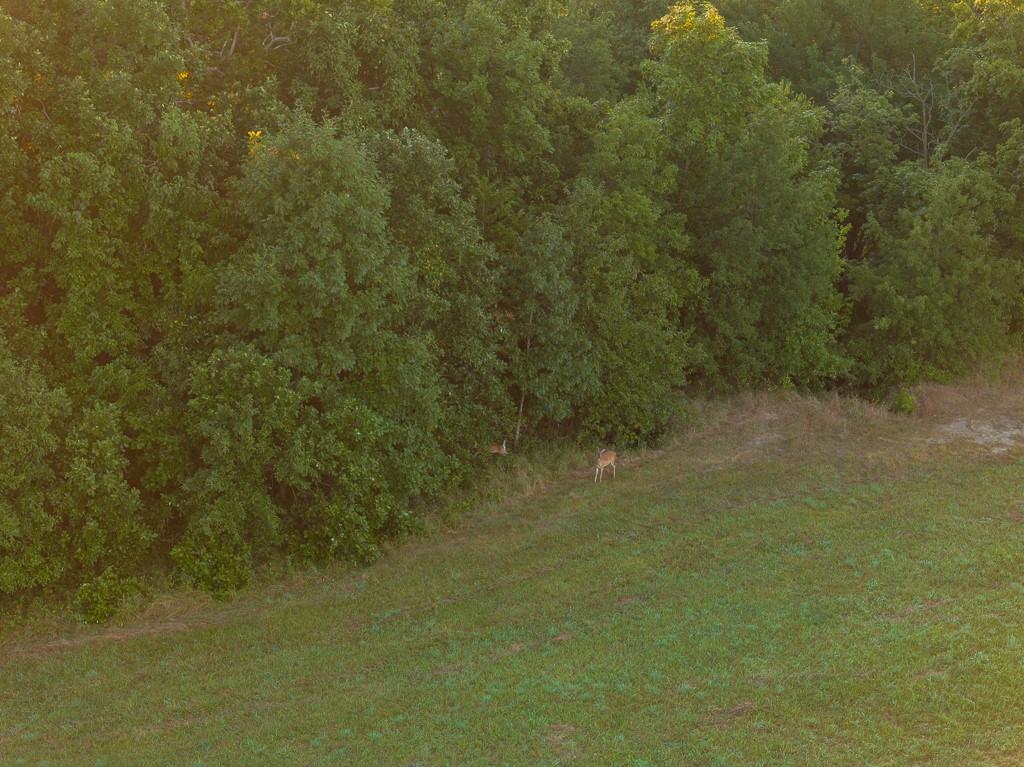 South Outer Belt Road Lone Jack, MO 64070 - Photo 12 of 54