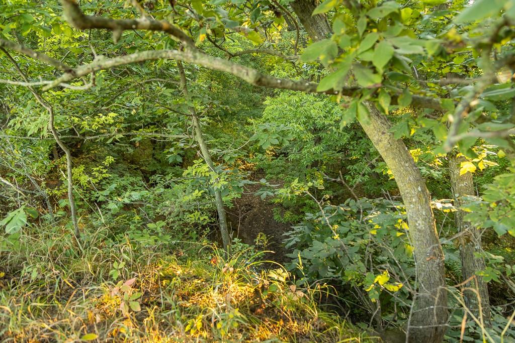 South Outer Belt Road Lone Jack, MO 64070 - Photo 29 of 54