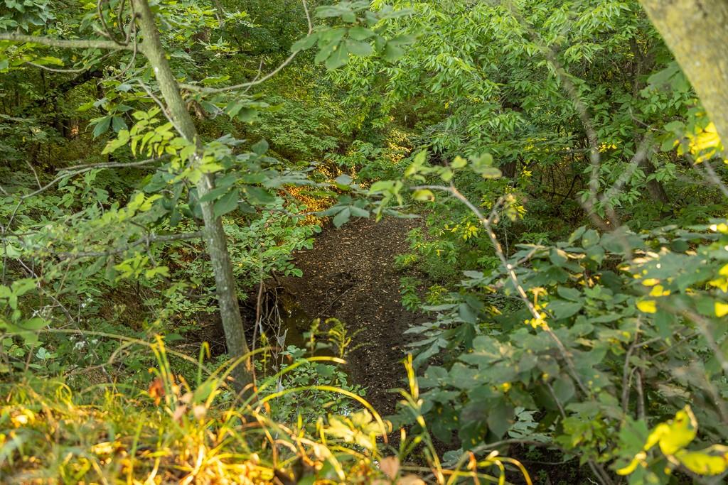 South Outer Belt Road Lone Jack, MO 64070 - Photo 30 of 54