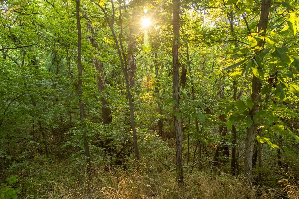 South Outer Belt Road Lone Jack, MO 64070 - Photo 33 of 54