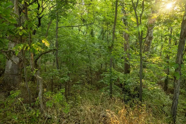 $292,500 | South Outer Belt Road, Lone Jack, MO 64070