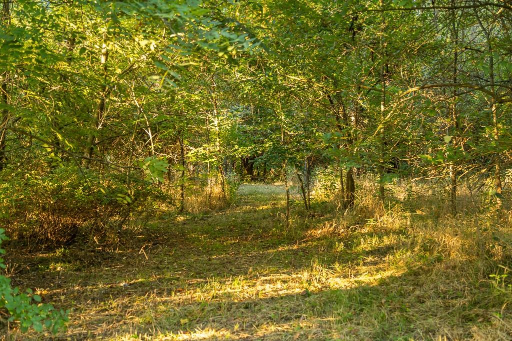 South Outer Belt Road Lone Jack, MO 64070 - Photo 39 of 54