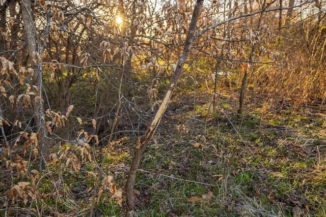 $292,500 | South Outer Belt Road, Lone Jack, MO 64070