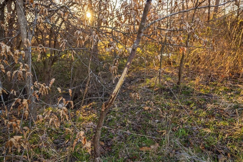 South Outer Belt Road Lone Jack, MO 64070 - Photo 42 of 54