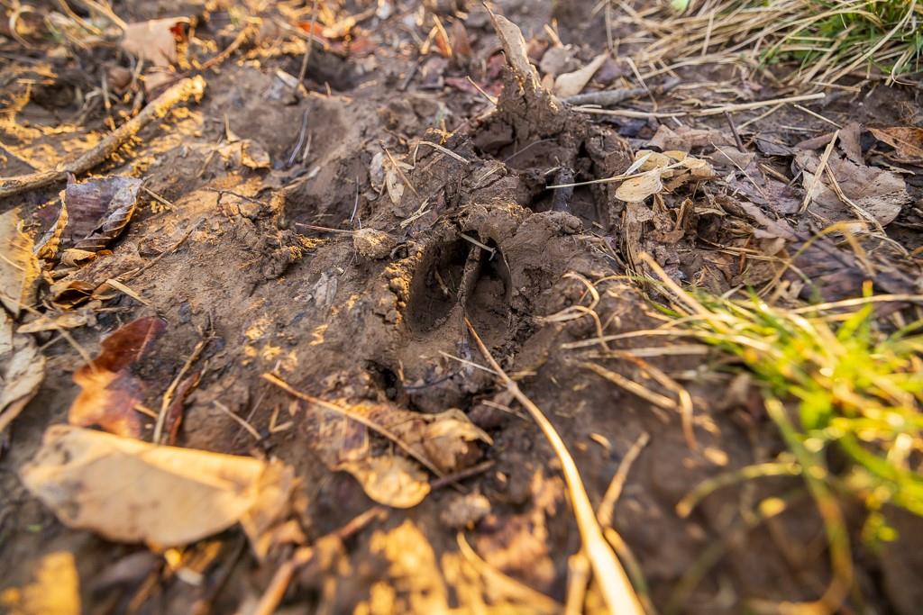 South Outer Belt Road Lone Jack, MO 64070 - Photo 43 of 54