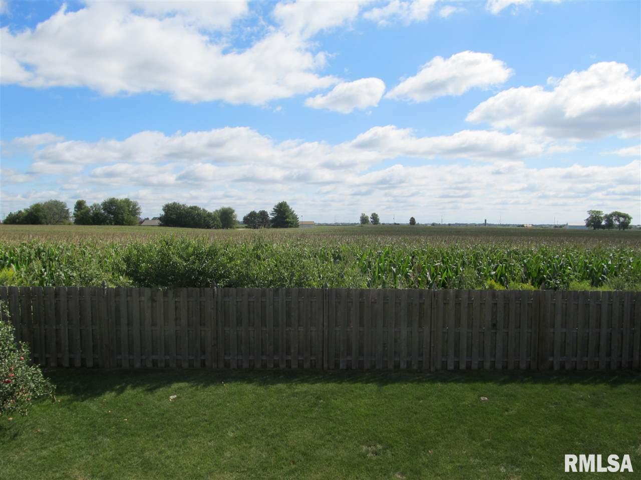 6451 Friendship Path Bettendorf, IA 52722 - Photo 31 of 32