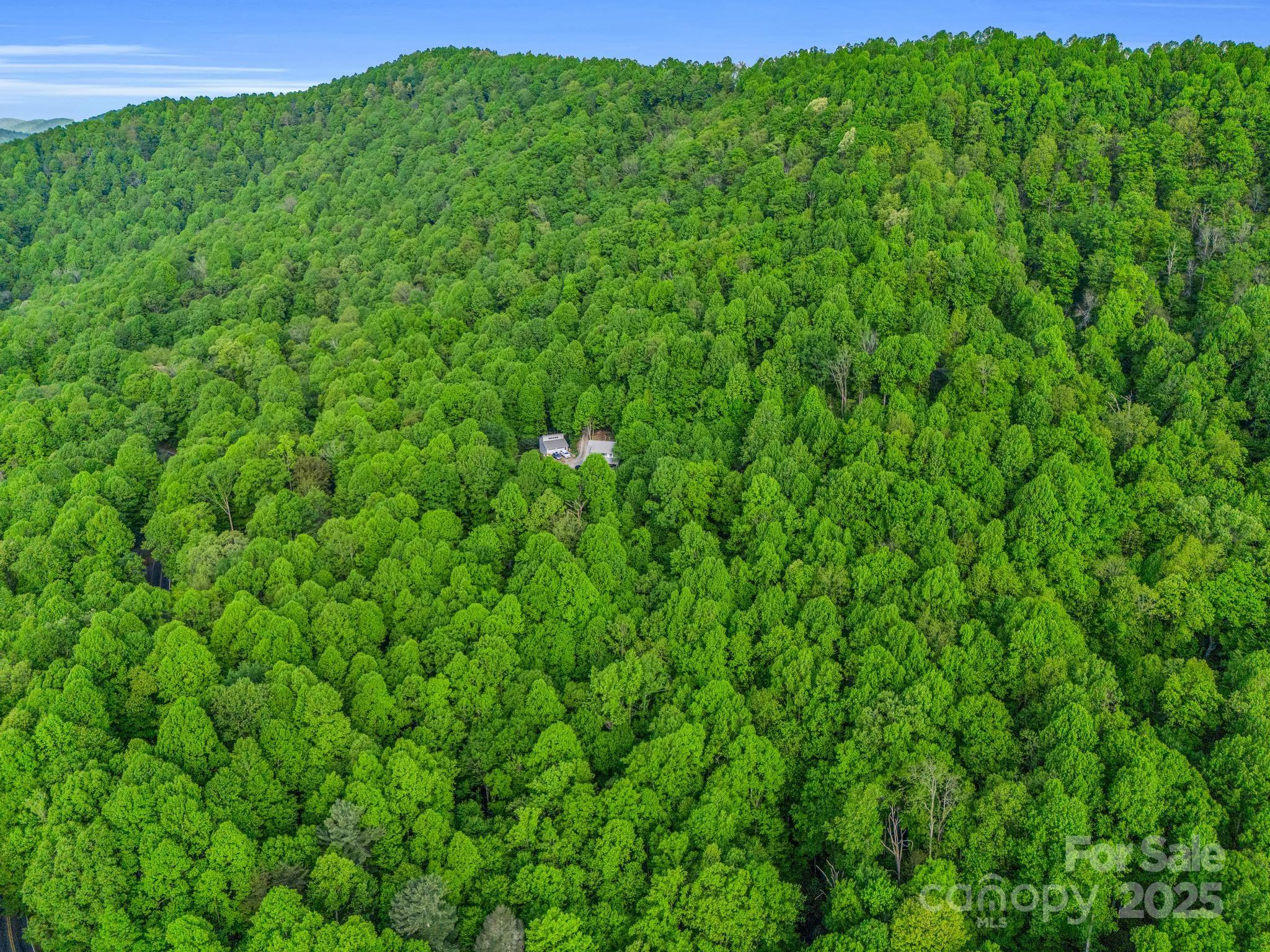 87 Pole Cat Road, Unit 4A Saluda, NC 28773 - Photo 21 of 46