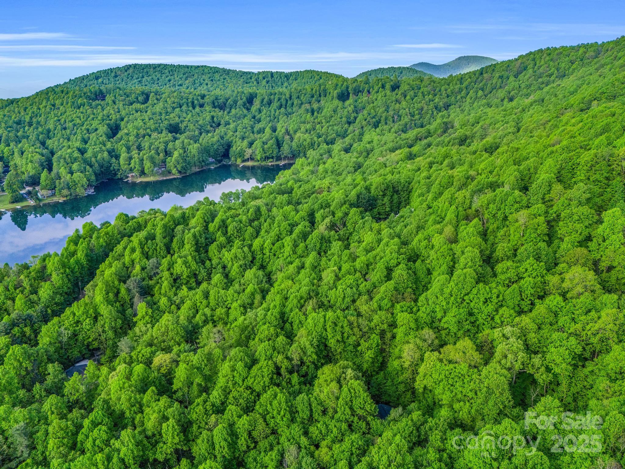 87 Pole Cat Road, Unit 4A Saluda, NC 28773 - Photo 23 of 46