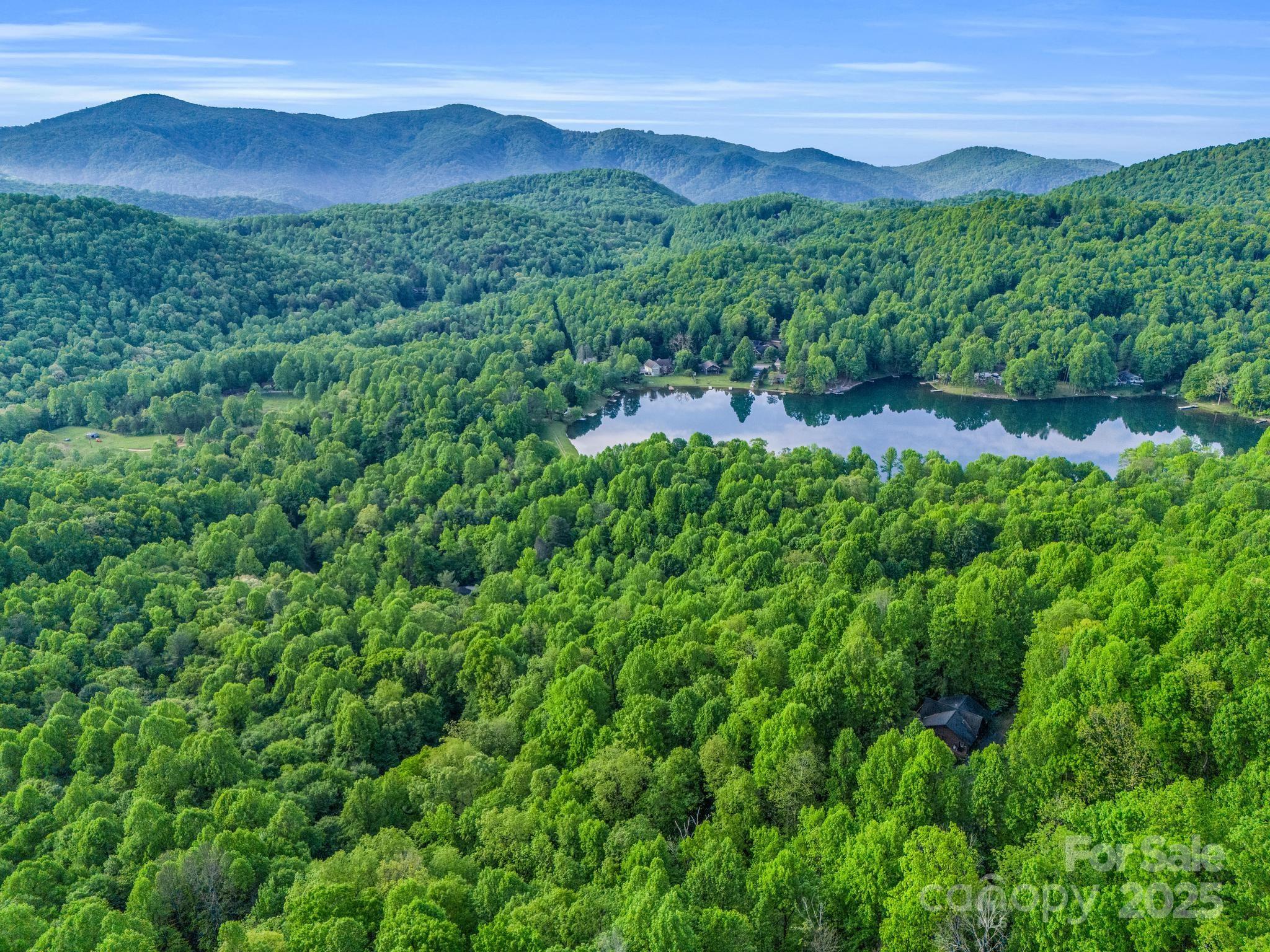 87 Pole Cat Road, Unit 4A Saluda, NC 28773 - Photo 39 of 46