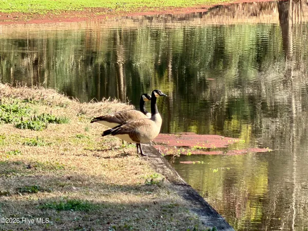 $1,250,000 | 4106 Old Cherry Point Road, New Bern, NC 28560