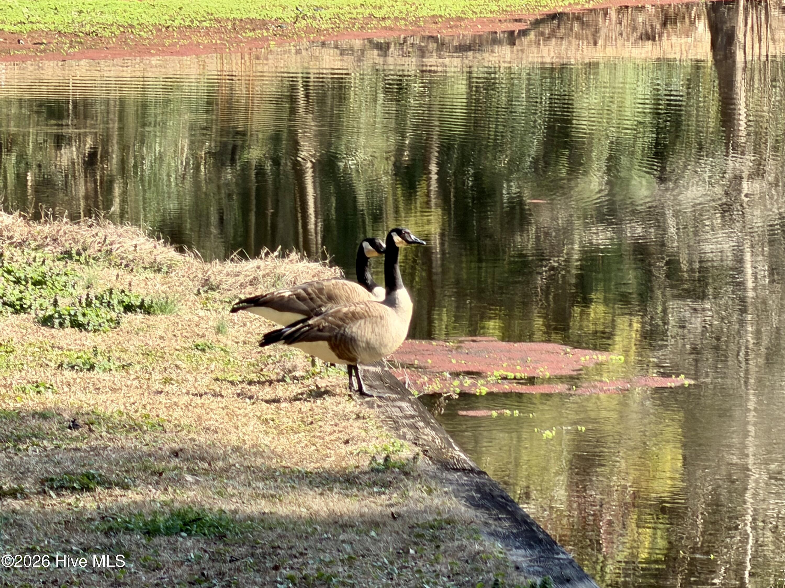 4106 Old Cherry Point Road New Bern, NC 28560 - Photo 11 of 93 IMG_0311